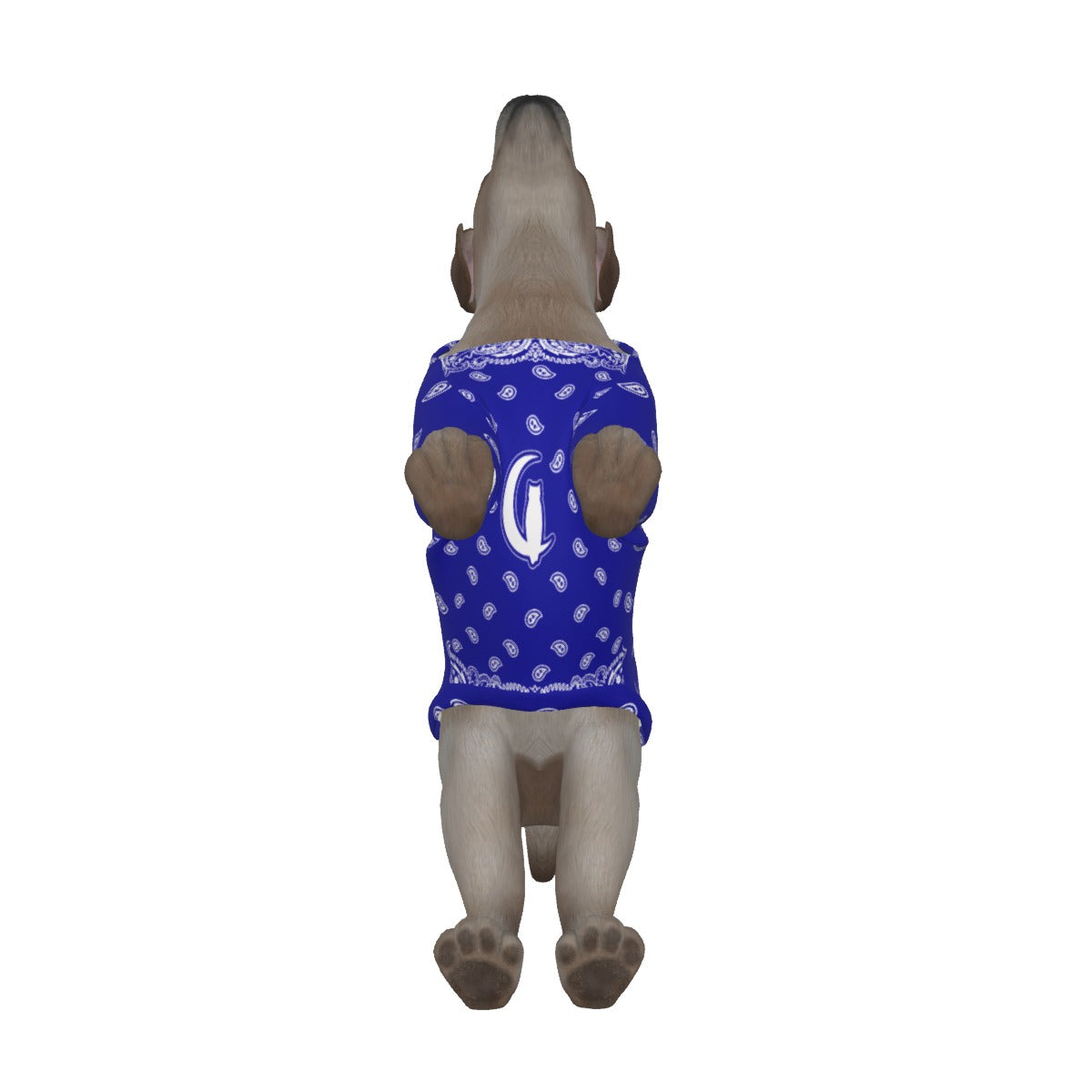 BANDANA Cs'UP Dog's Pullover Hoodie