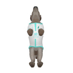 MARSEILLE Dog's Pullover Hoodie