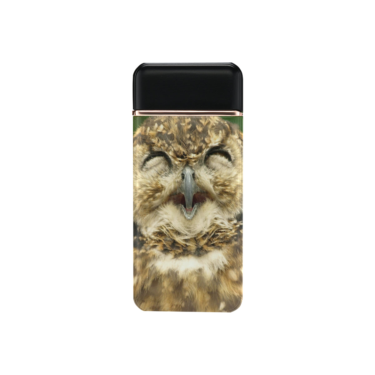 FUNNY  OWL USB Rechargeable Lighter