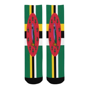DIASPORA ENG/DUTCH Men's Custom Socks