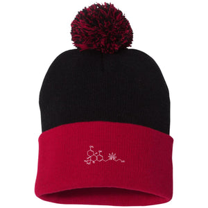 TETAGRAM Pom Pom Knit Cap
