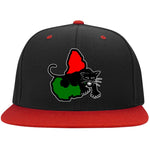 Afrika Panther RBG Snapback Hat