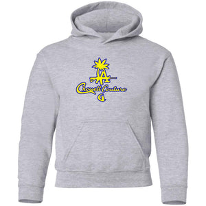 LCC SLSN  Youth Hoodie